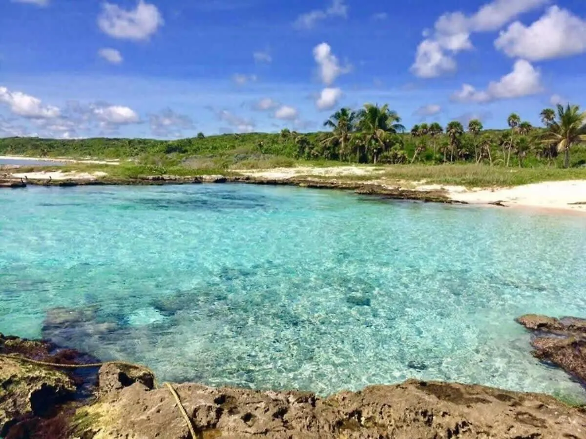 2 Bedroom Amazing Pool Top Amenities Wifi 2Fl Gym Tulum Mexico